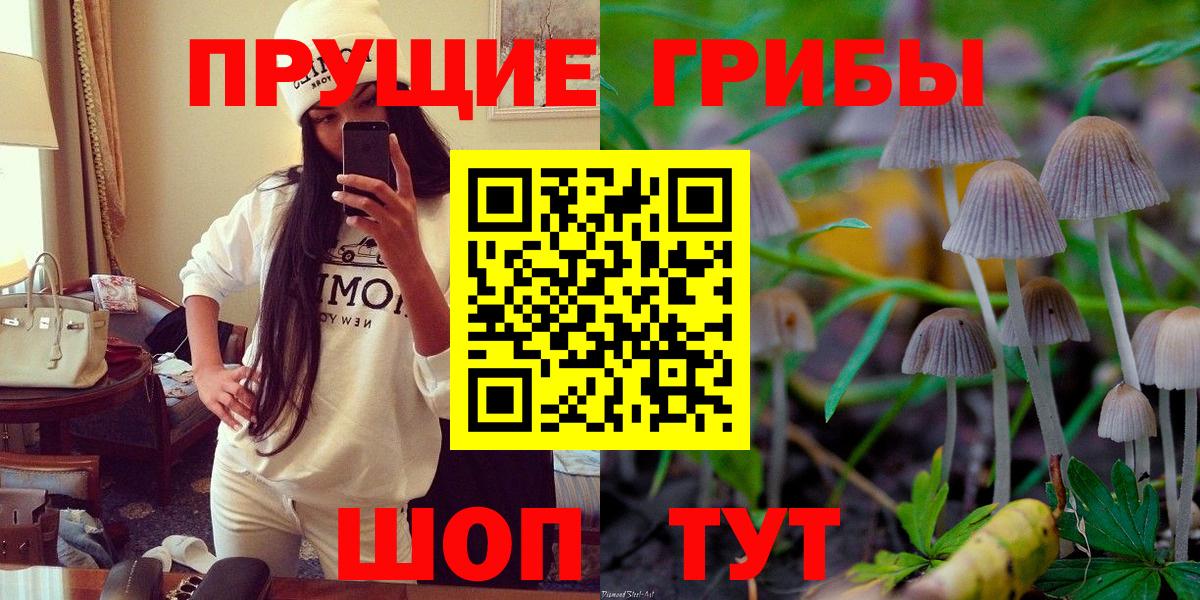 Псилоцибиновые грибы MAGIC MUSHROOMS Курганинск