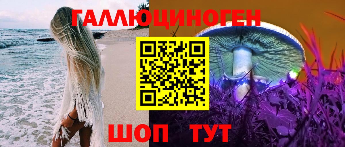 Курганинск  Галлюциногенные грибы мухоморы  Псилоцибиновые грибы Magic Shrooms  Вход с VPN 